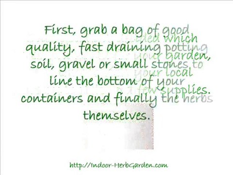 Creating a Windowsill Herb Garden