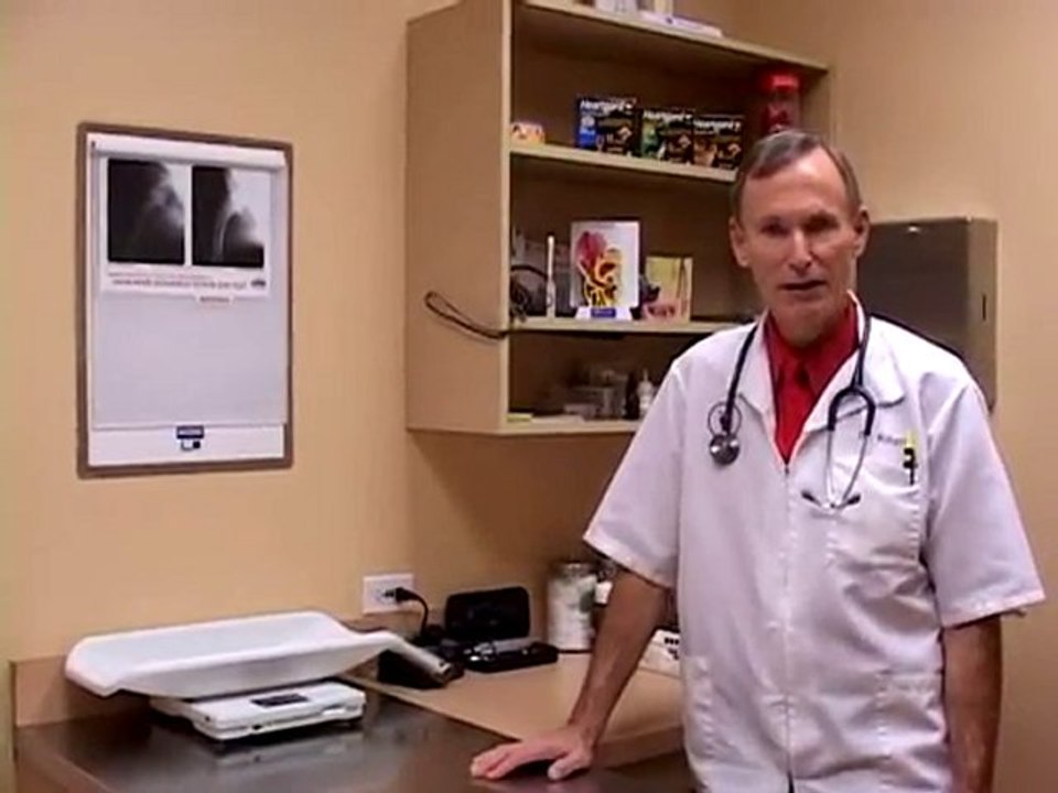 Higgins Animal Clinic Chicago Pet Expo Mayfest Veterinarian