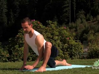 Wrist Free Energy Yoga Flow