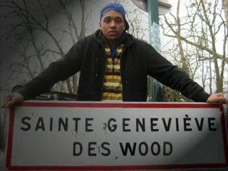 Metys.D - Ste Gen Des WOOD