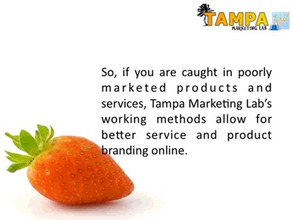 What Internet Marketing Services to Look for in Tampa