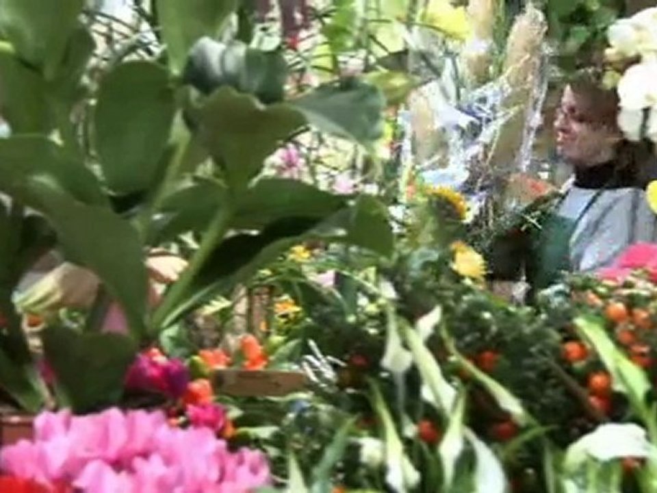 Fleurs et décoration florale, ACACIA à Villeneuve-d'Ascq