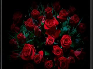 BİR KIZIL GONCAYA BENZER DUDAĞIN - AMATÖR