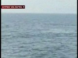 La Balena grigia torna nel Mediterraneo