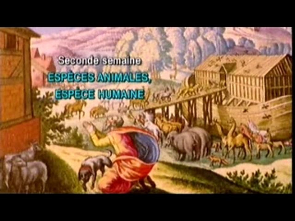 torah_semaine 02_Espece animal & espece humaine