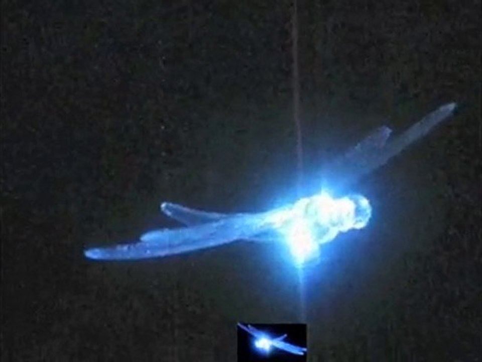 Libellule De Lumières (Juillet 2007)
