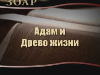 Tải video: Адам и Древо жизни (Сила книги Зоар)