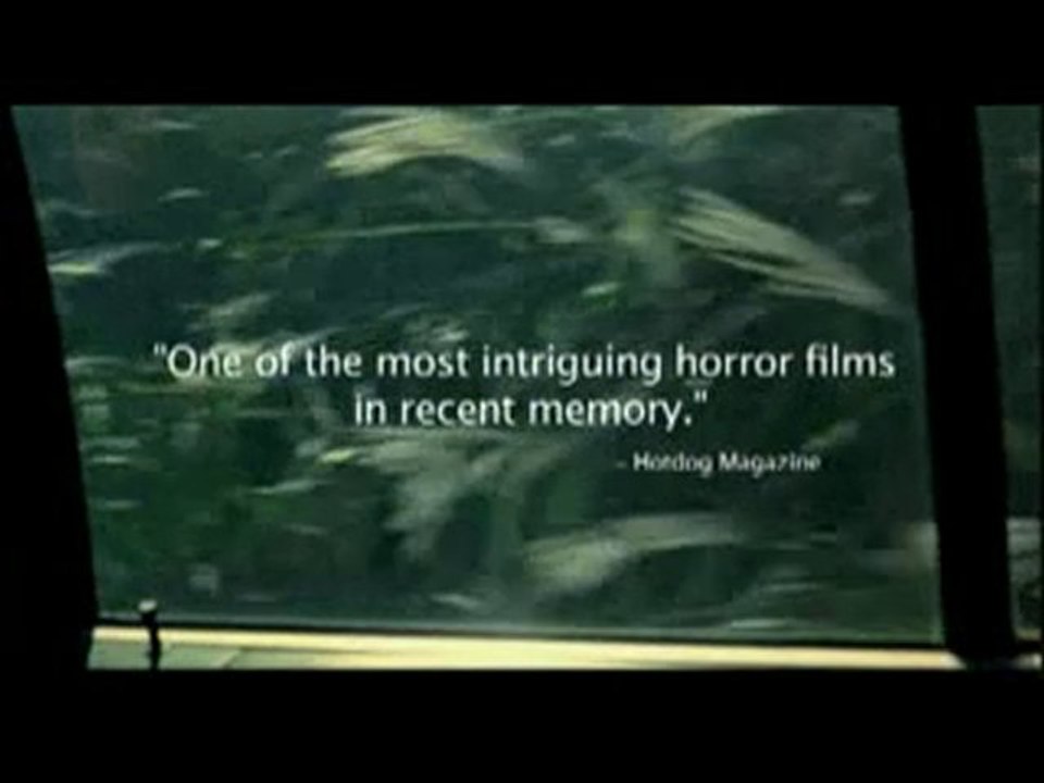 A Tale Of Two Sisters