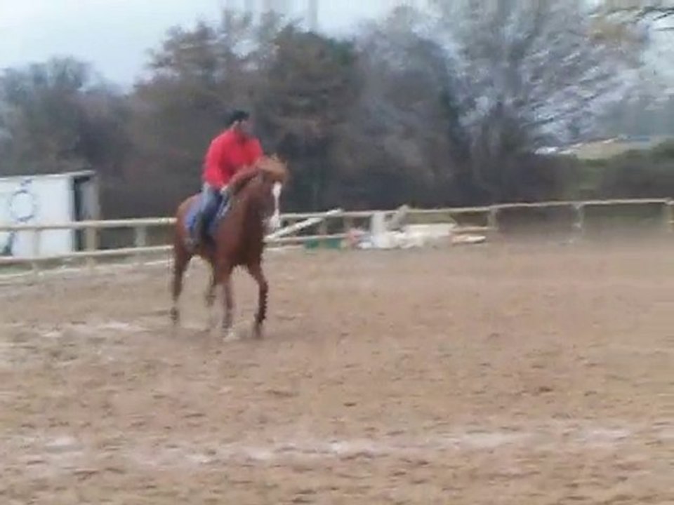 Quidam Créole