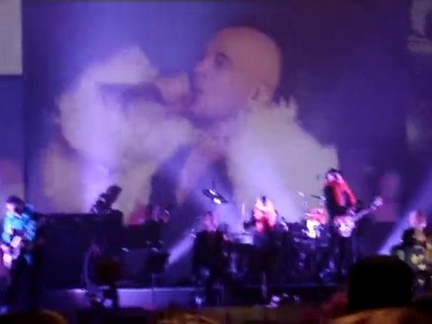 Pascal Obispo CSF - Fan - Forest