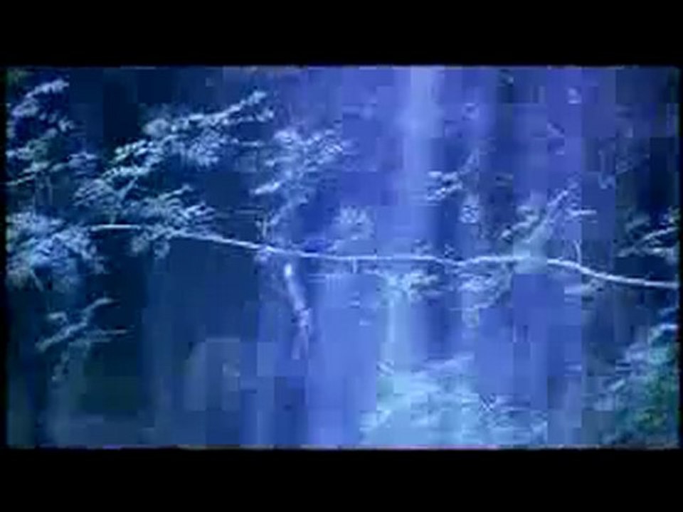 Forest of the Damned