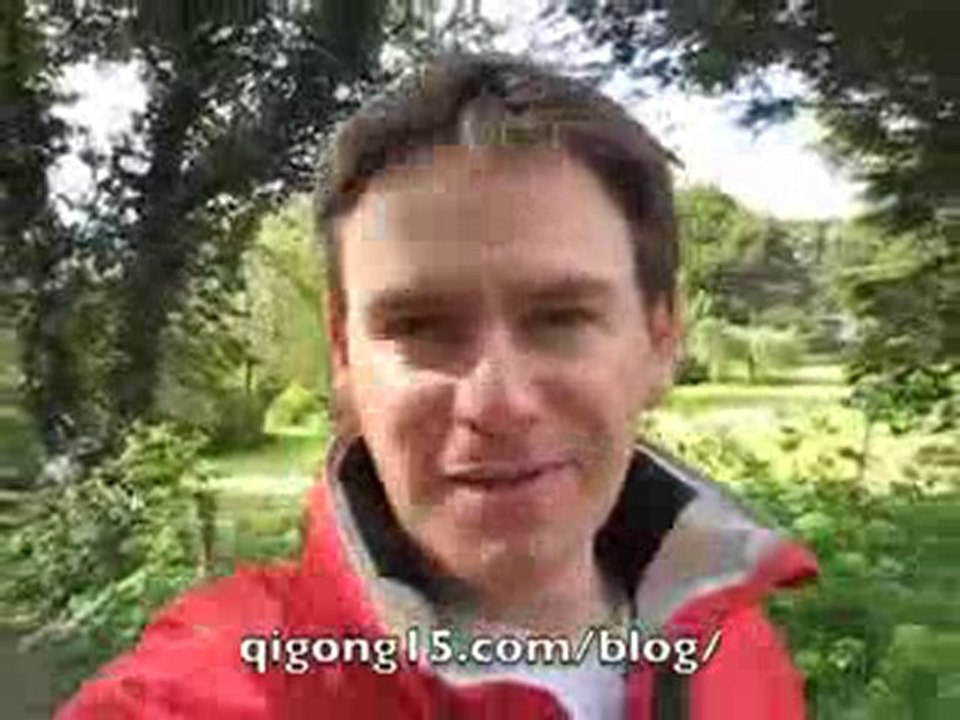 Chi Kung Lie Number 2