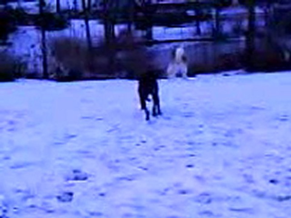 Video 0033