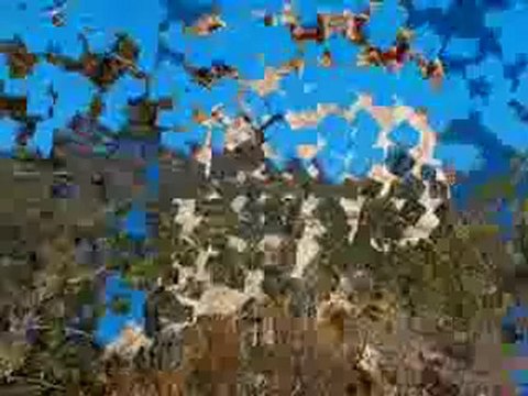 Golfe du Valinco-Propriano