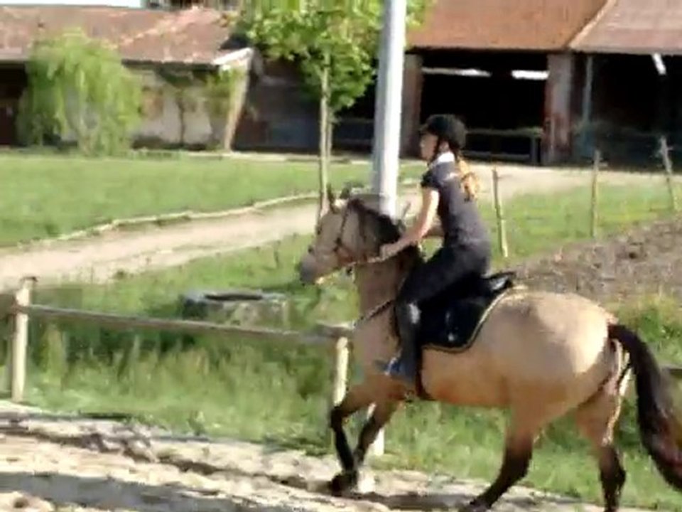 Parcours obstacle 60/70cm 10/05/2010