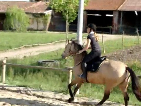 Parcours obstacle 60/70cm 10/05/2010