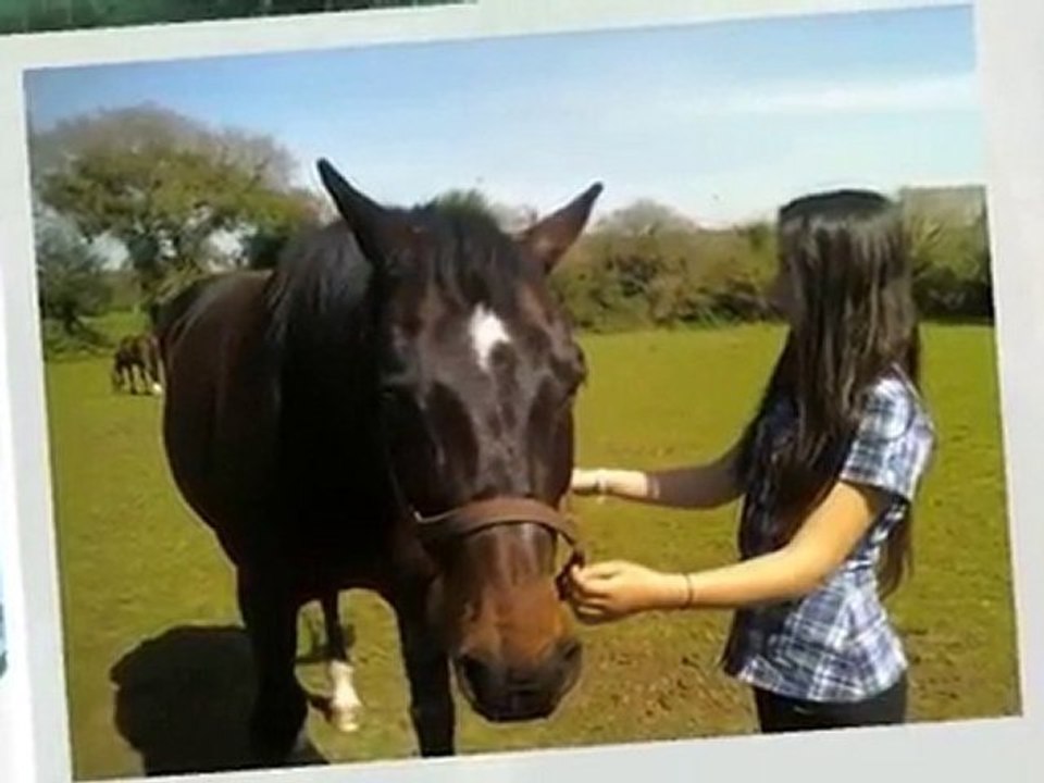 mon tit monde les meilleures