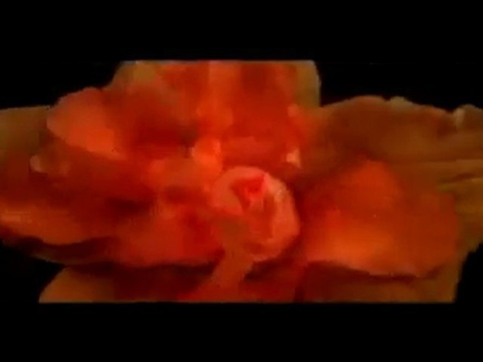 Calvin Klein - Euphoria Commercial - By Mallxyz.com Discount