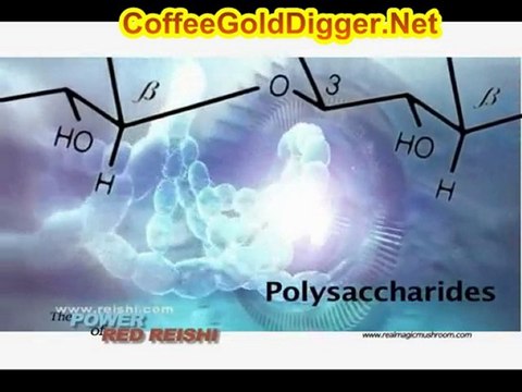 Immune System Support with Medicinal Red Mushrooms Reishi