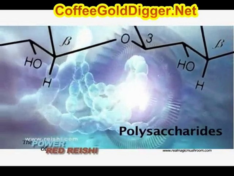 Immune System Support with Medicinal Red  Mushrooms Reishi