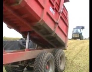 l'ensilage du mais