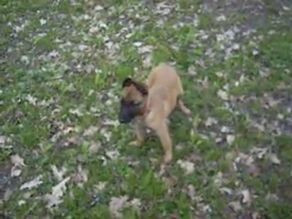 Fidji 3 mois 2 semaines