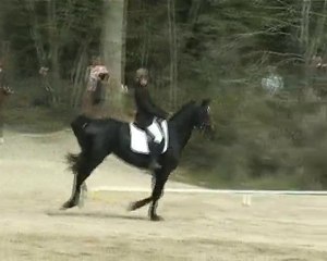 dressage bonnelles le 25 avril 2010