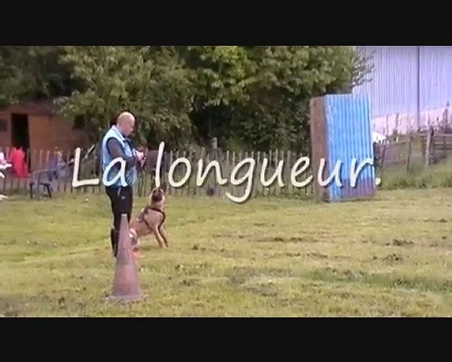 Sauts El'boy