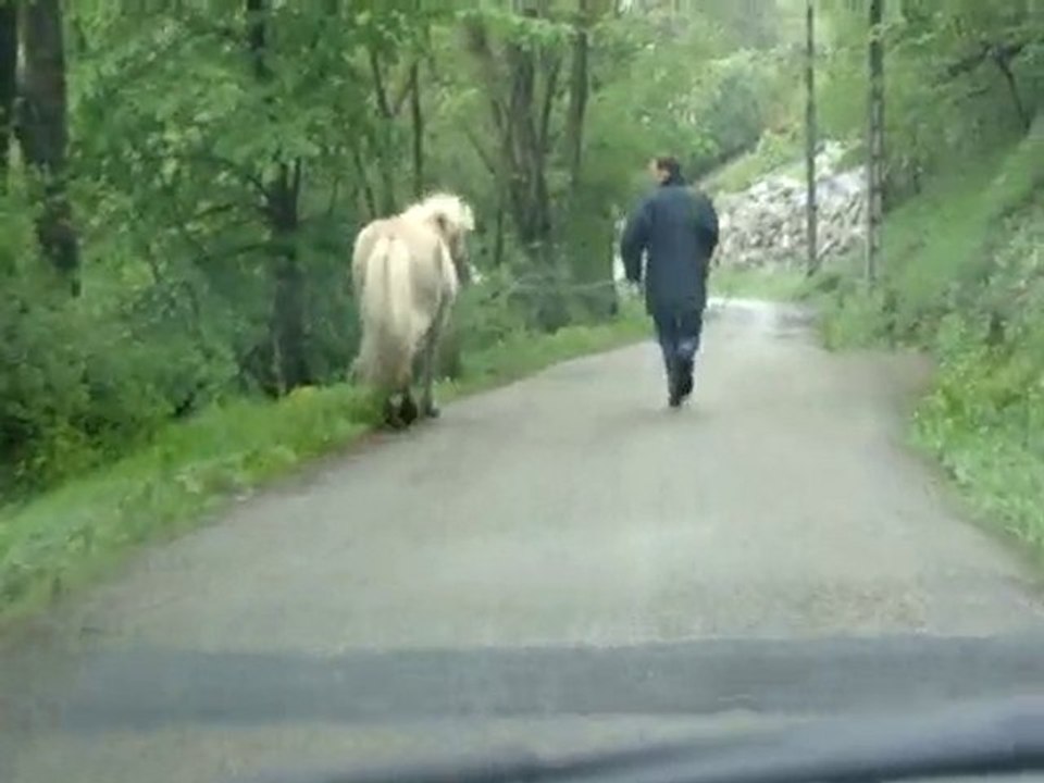 On part au pré !!!!