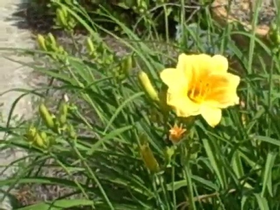 What Do Legitimate Online Money Making Opportunities ...