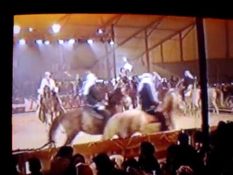 Cheval Passion - Chevaux Barbes 2