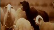 The KLF - What Time Is Love?