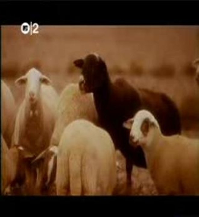 The KLF - What Time Is Love?