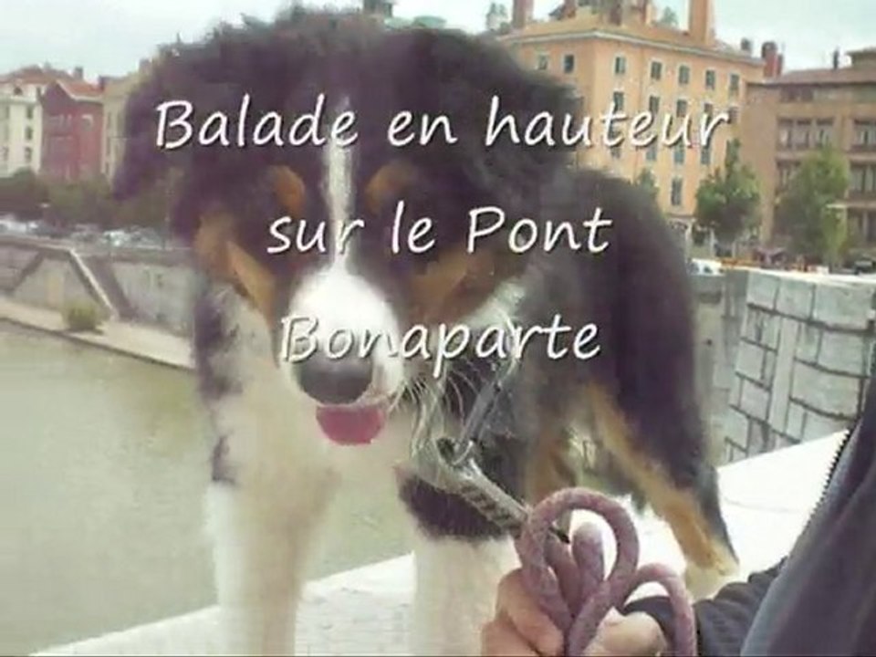 Agility à Lyon