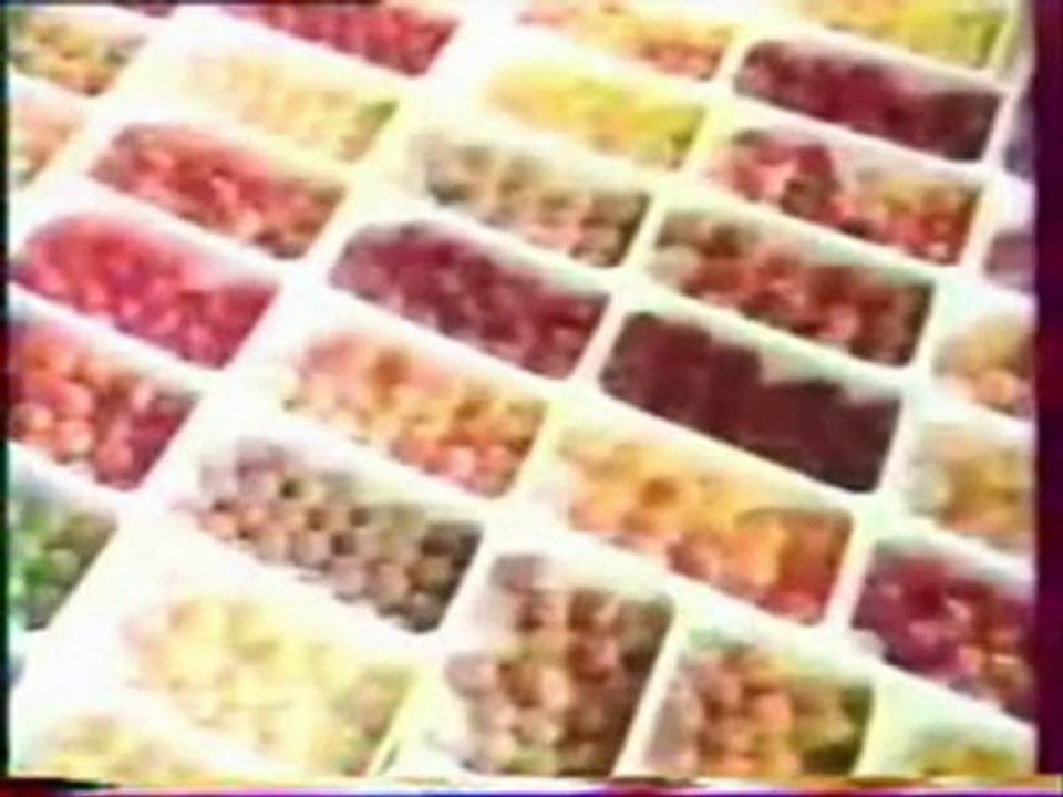 Évolution ou création 4/4