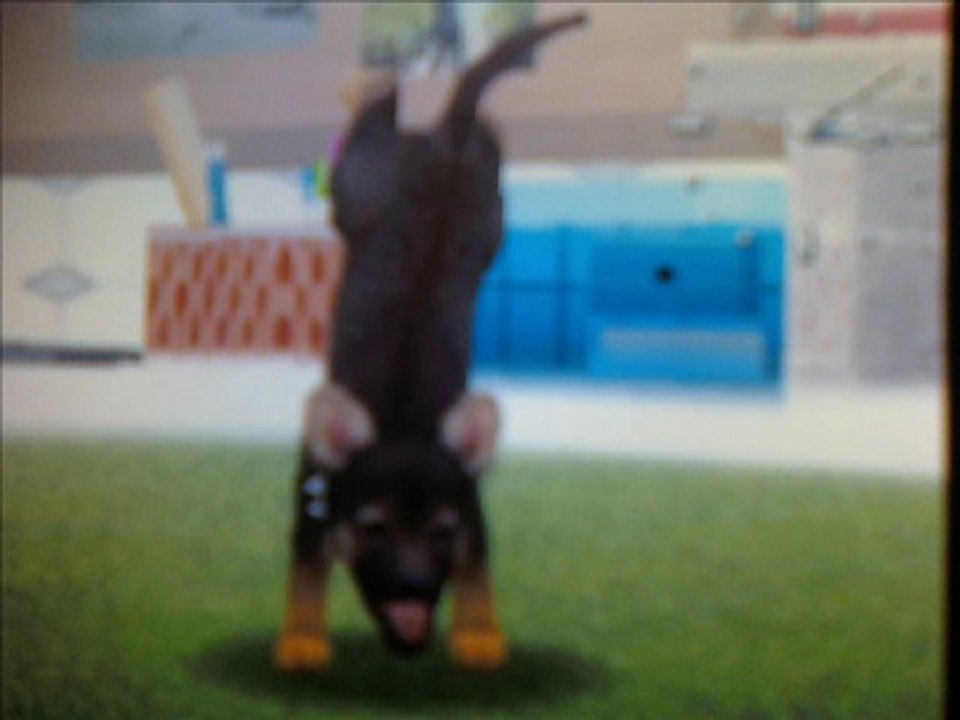 nintendogs_0002