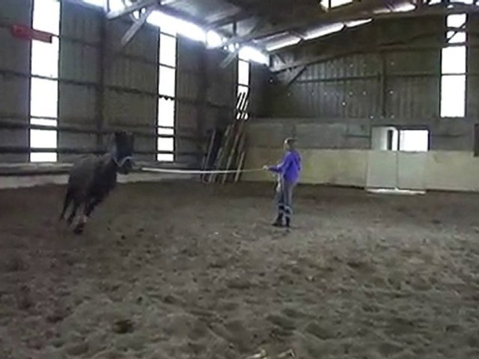Solène et Kid