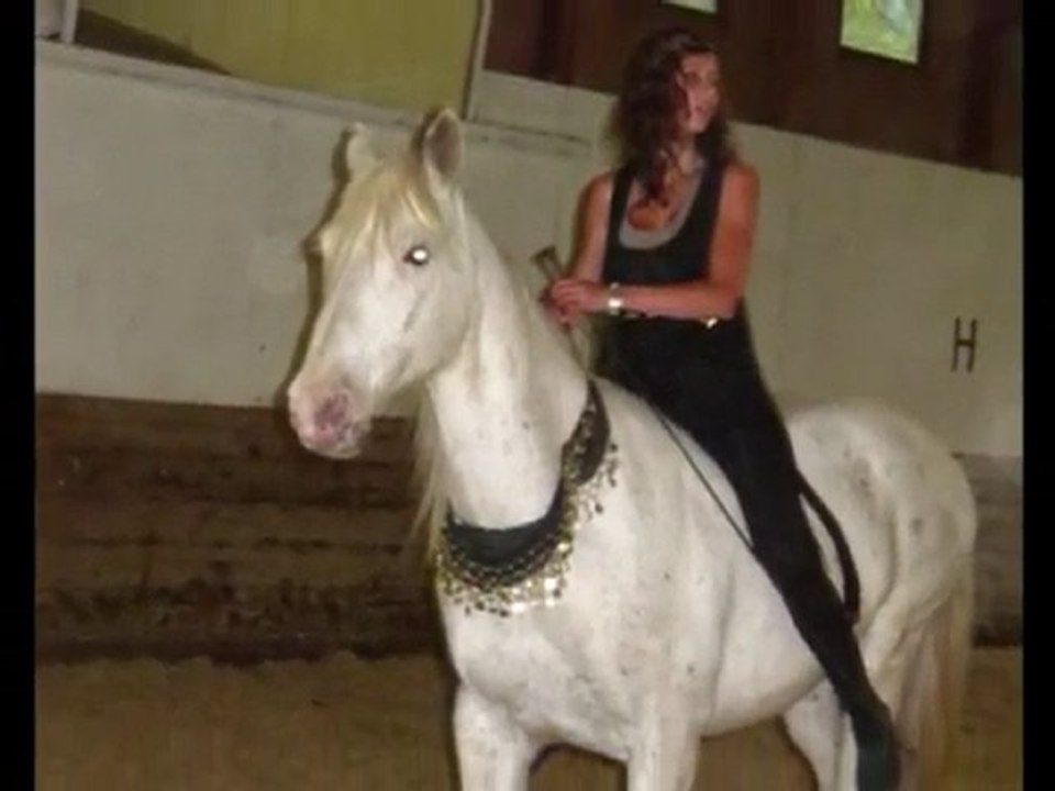 Caresse du cheval