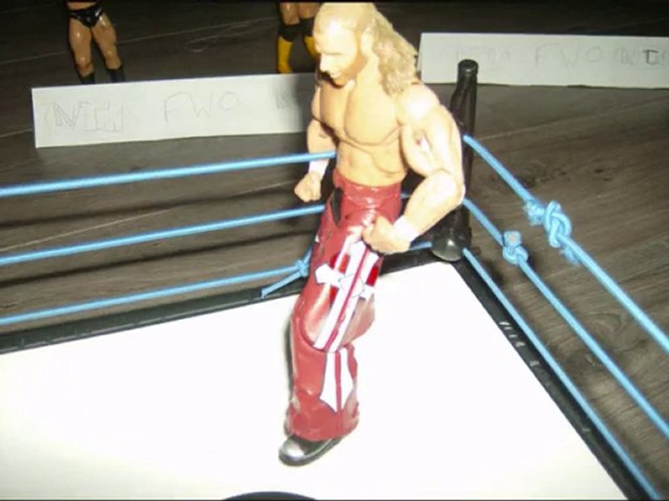 FWO : HBK VS UNDERTAKER