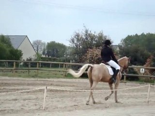 dressage plerguer 09/05/10 aurelie flan club 3