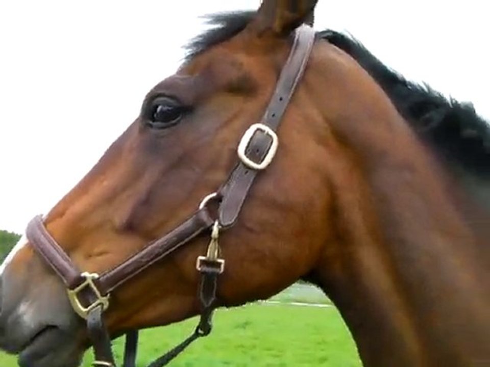 1 - Quelem - Arrivée Maison Rouge - 13-05-10