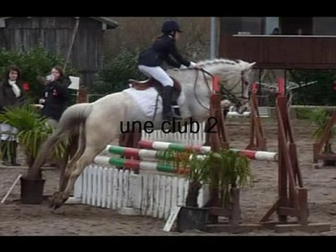 praline ,une jument pas comme les autre