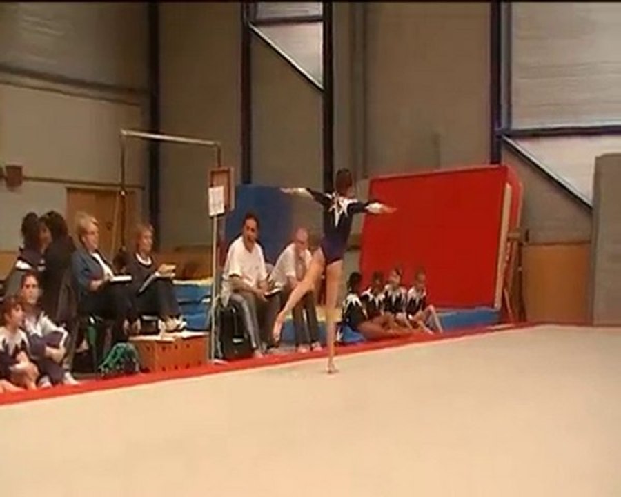 Concours Départemental Poussins 2010