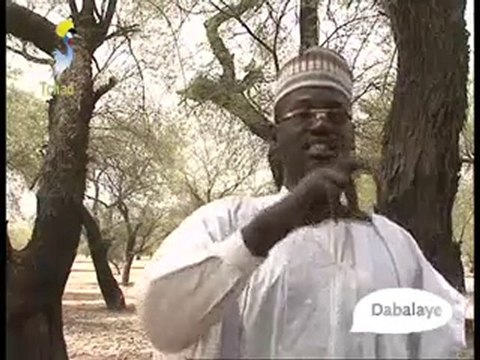 DABALAYE FRANCAIS DU 15/05/2010 PAR TCHADONLINE.TV