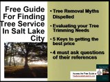 Free Guide to Hiring Tree Service in Salt Lake City