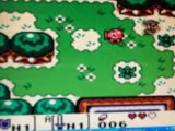 The Legend of Zelda: Link's Awakening DX (Game Boy Color)