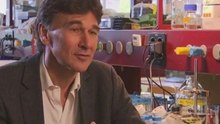 Médecin chef et chercheur