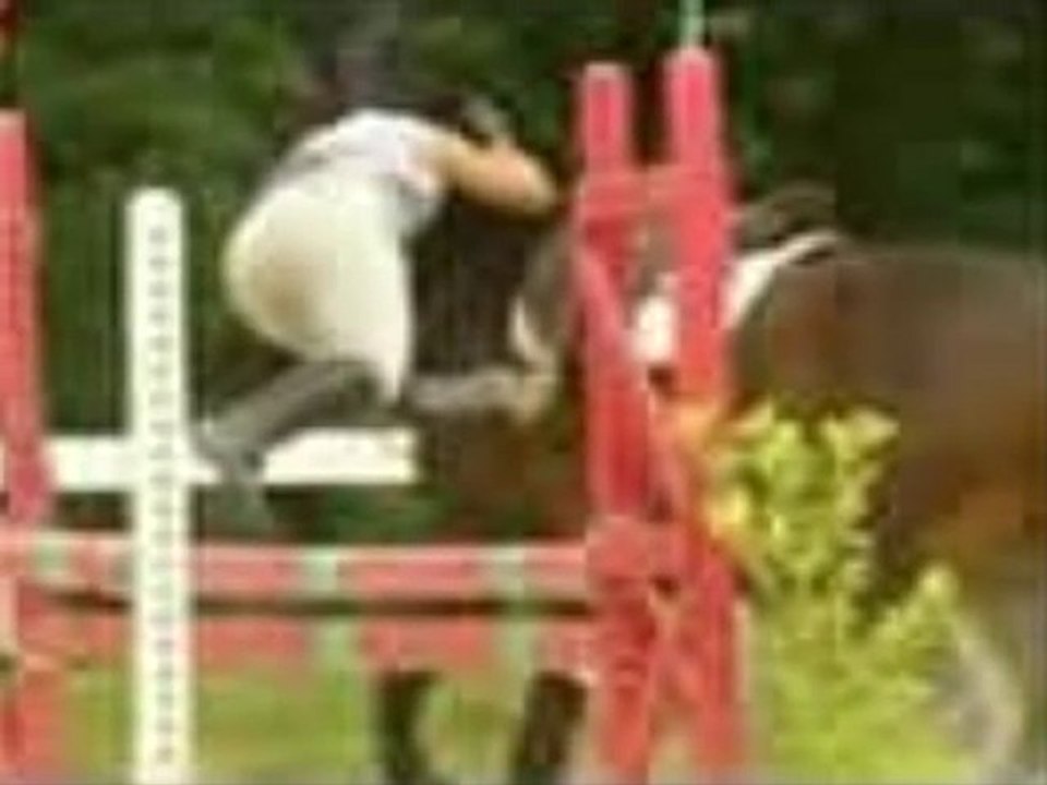 chutes de chevaux
