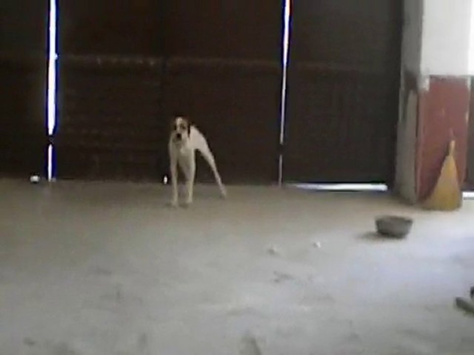 NERON bekle eğitimi:)))