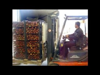 AKDOĞAN KÖYÜ TARIMSAL KALKINMA KOOPERATİFİ SOĞUK HAVA DEPO